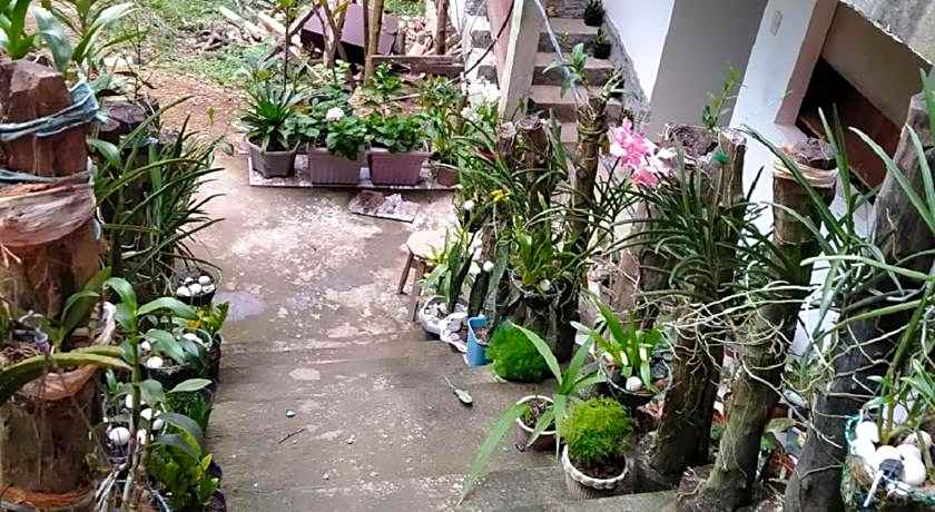 D'MESA Seacretlodge and Restaurant