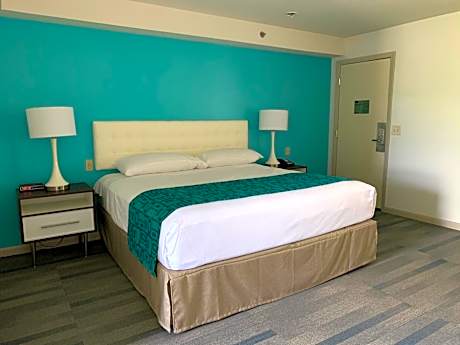 1 King Bed Non-Smoking
