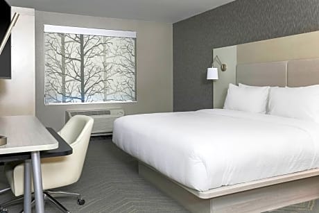 Room, 1 King Bed