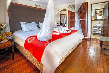 Deluxe Double or Twin Room with River View