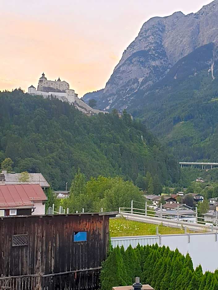 Weisses Rössel-Cavallo Bianco