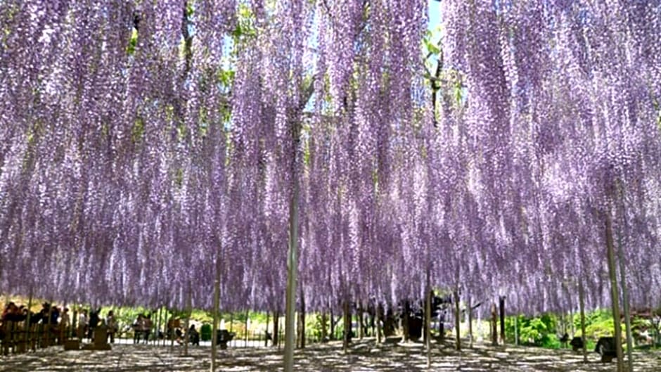 Kyukamura Nasu