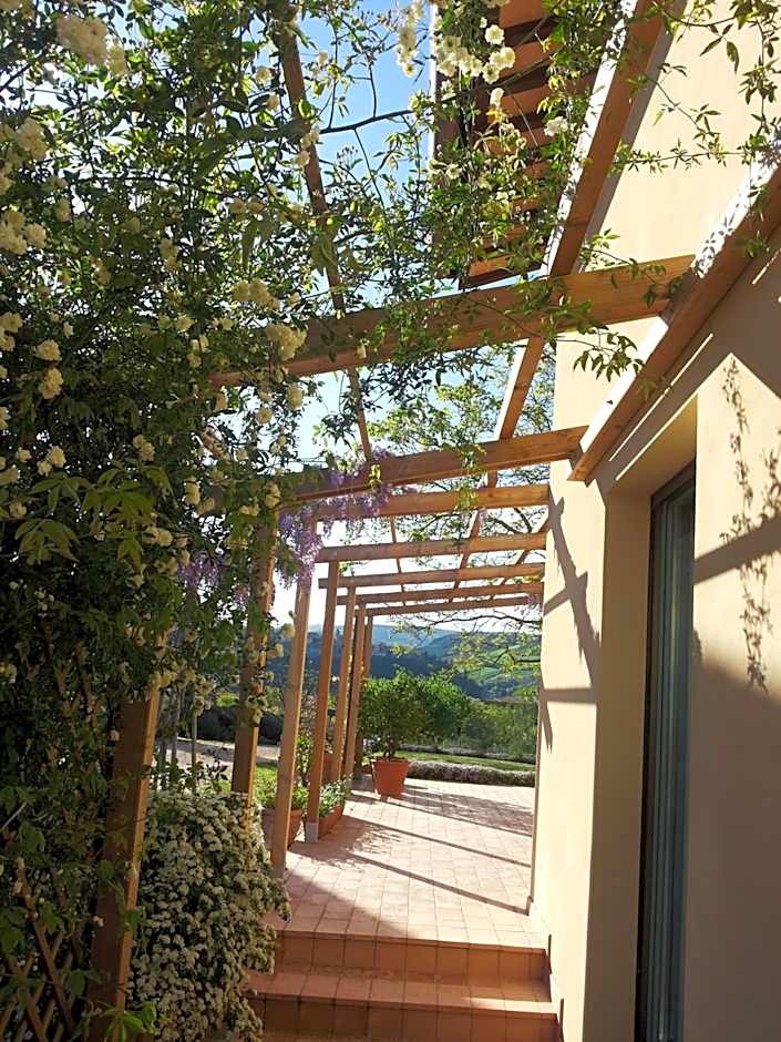 B&B Antegiano