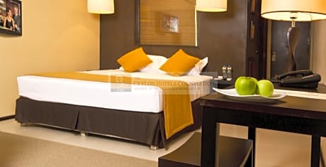 Superior Room with Balcony and Lake View triple