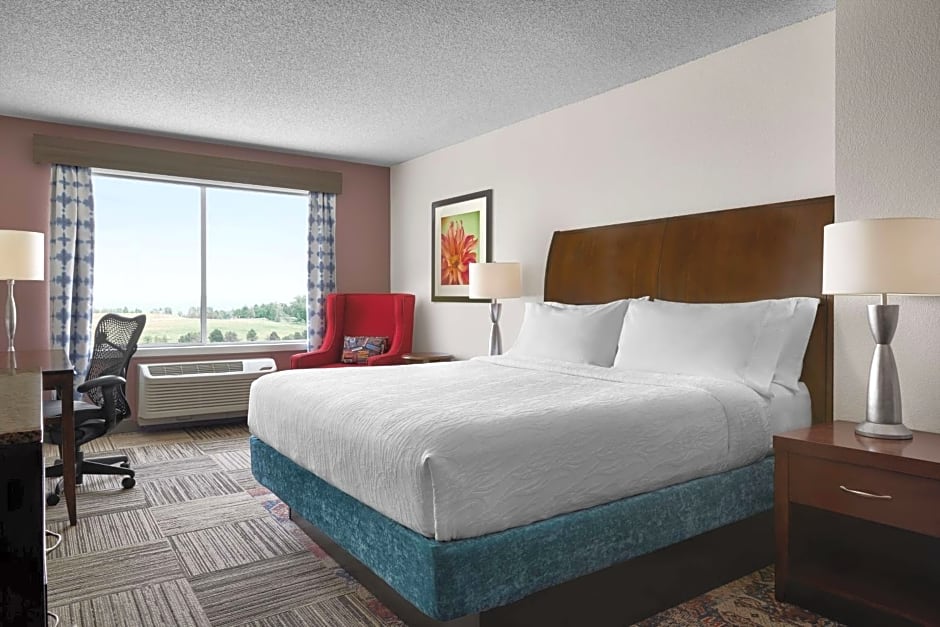 Hilton Garden Inn Denver South Park Meadows Area