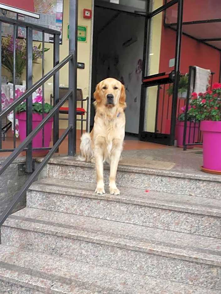 Hotel Renato