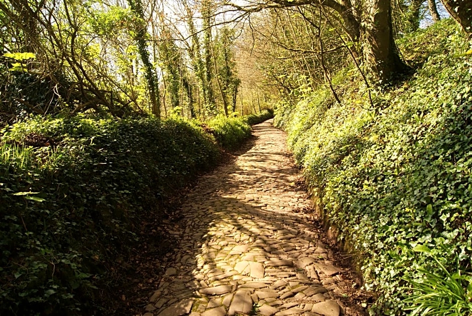 The Old Smithy Bed & Breakfast
