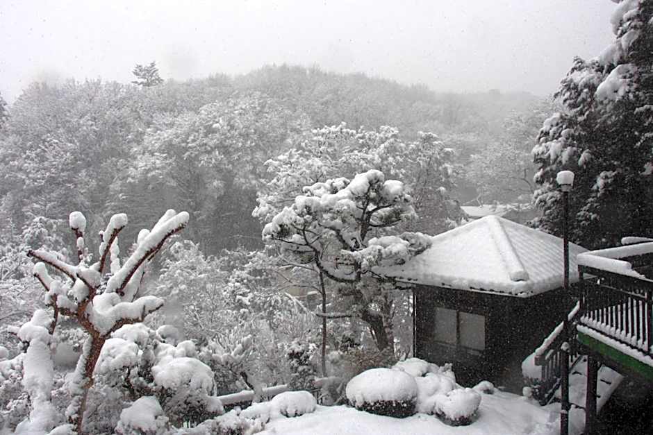 Kougetsu Sanso -- Moon Villa in Tokyo