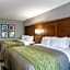 Quality Inn and Suites Ashland near Kings Dominion