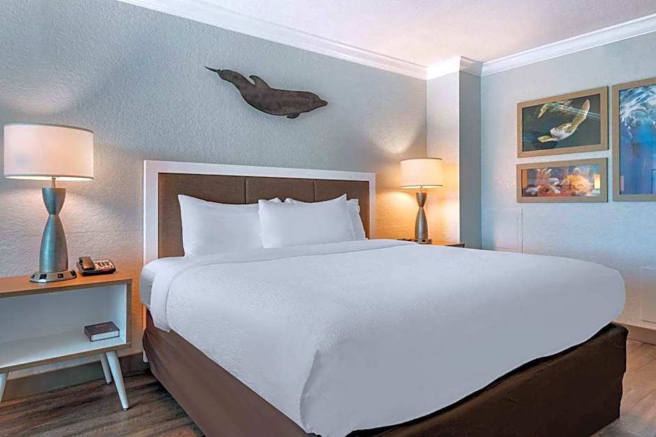 Winter the Dolphin's Beach Club, Ascend Hotel Collection