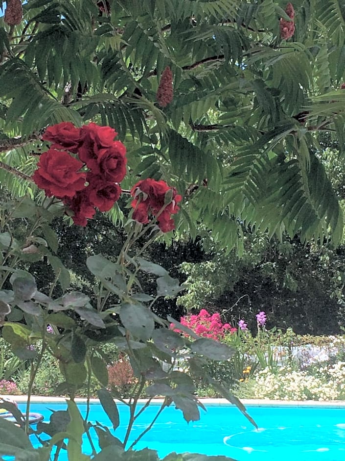 Les Luz - Chambres d'hôtes