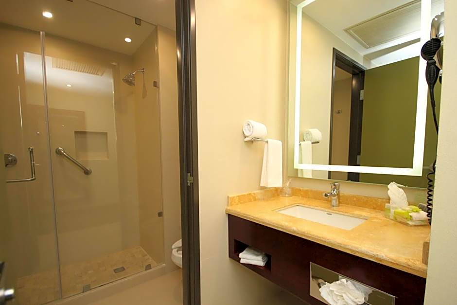 Holiday Inn Leon By IHG