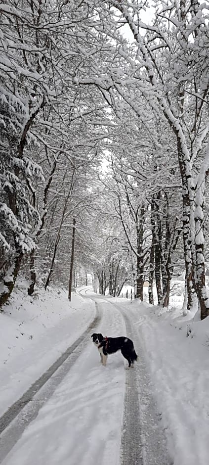 Les Vagabonds du Mont