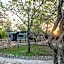 Foxy Crocodile Bush Lodge & Kruger Safaris