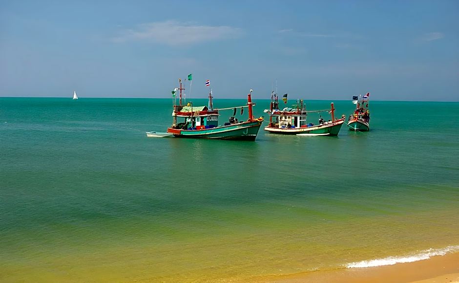 Sea Falcon on the Water
