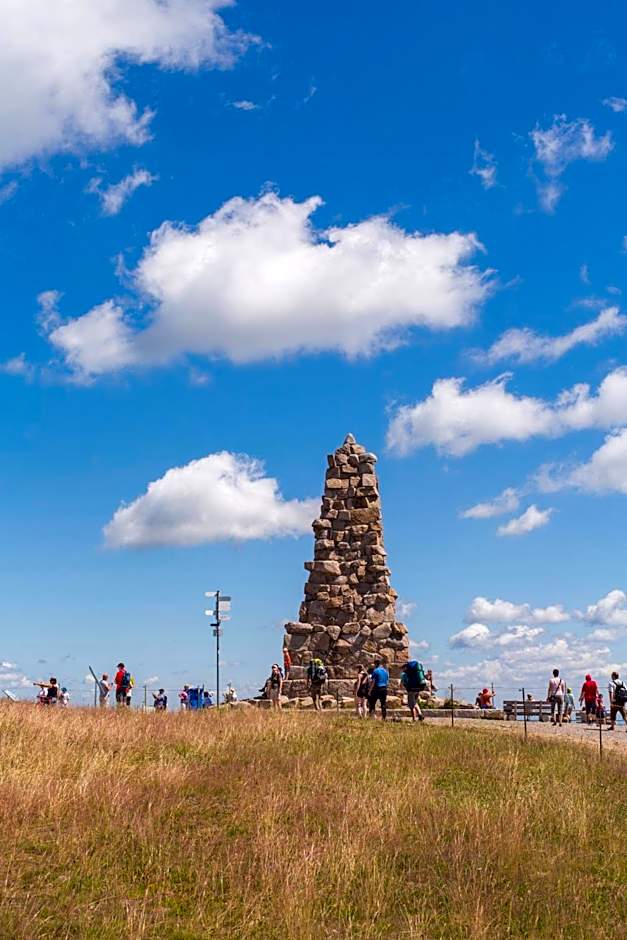 Forsters Schwarzwald Hof - Resort-Hotel&Pension