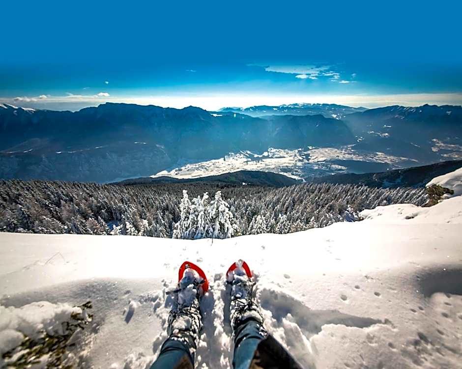 Nature Bio Hotel Elite