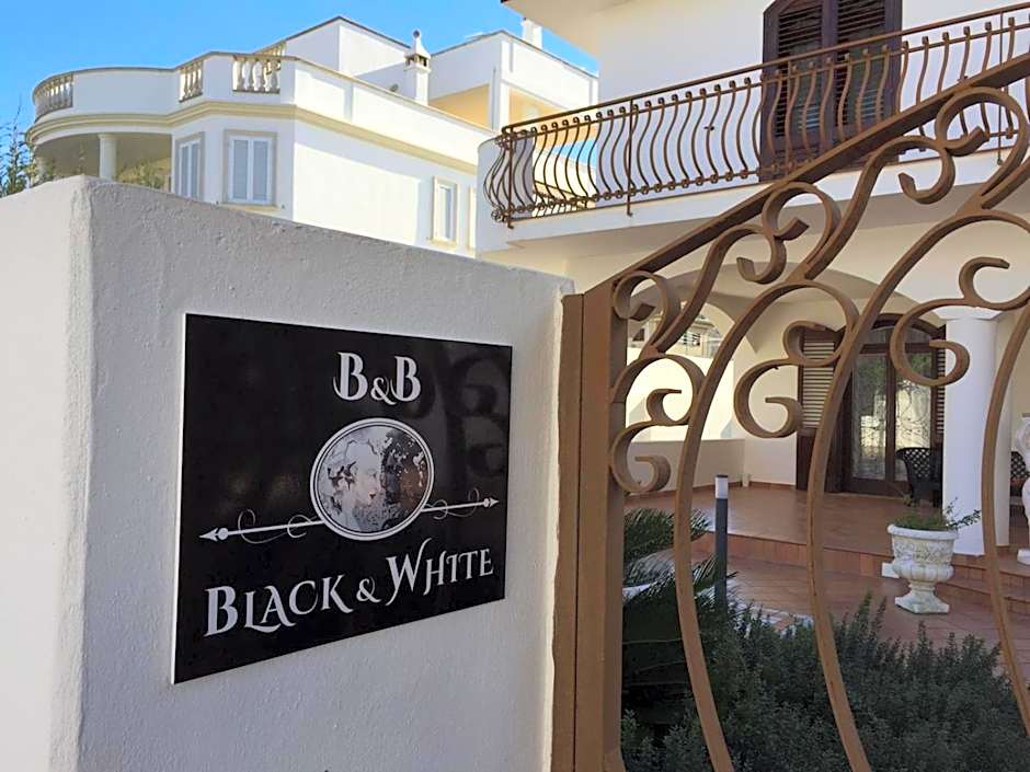 b&b black-and-white