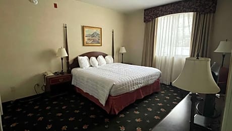 1 King Bed Non-Smoking Microwave And Refrigerator Continental Breakfast