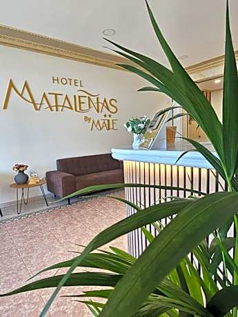 Hotel Mataleñas