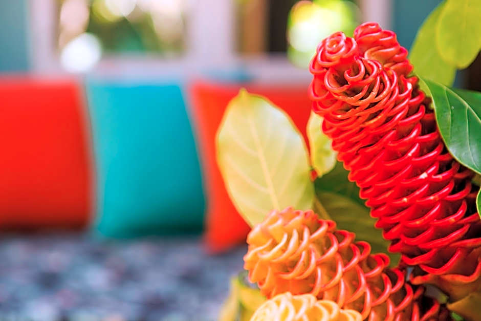 Pousada Casalinda Camburi