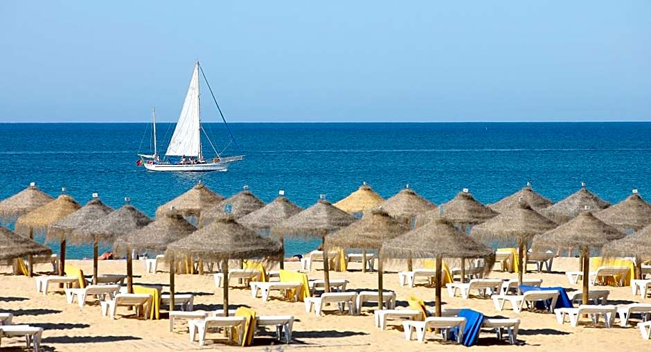 The Navigator - Olympus Marina