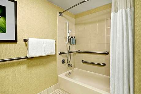 Room, 1 King Bed with Sofa bed (Mobility/Hearing Access, Transf Shwr)