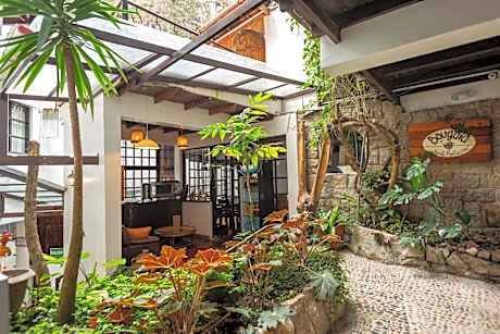 Gringo Bill's Boutique Hotel