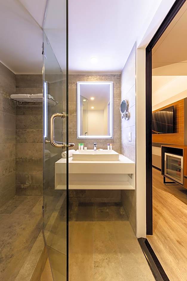 Novotel Santiago Providencia