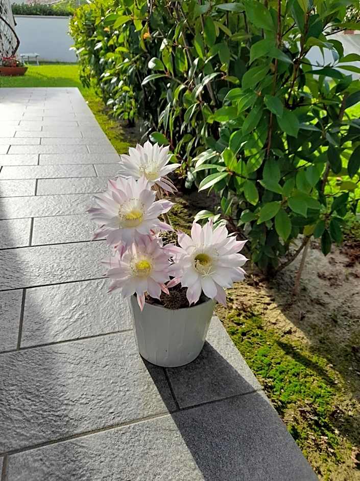 B&B Villa Griselda