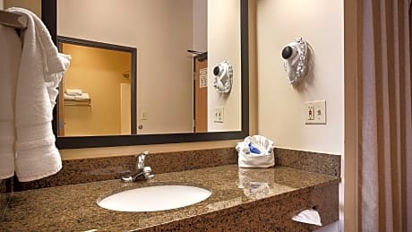 Accessible - 1 King, Mobility Accessible, Walk In Shower, Microwave And Refrigerator, Non-Smoking, F