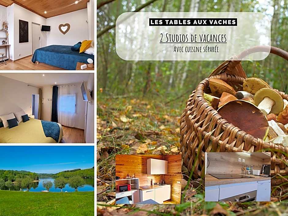 La Salvetat - Studios de vacances - Les Tables Aux Vaches