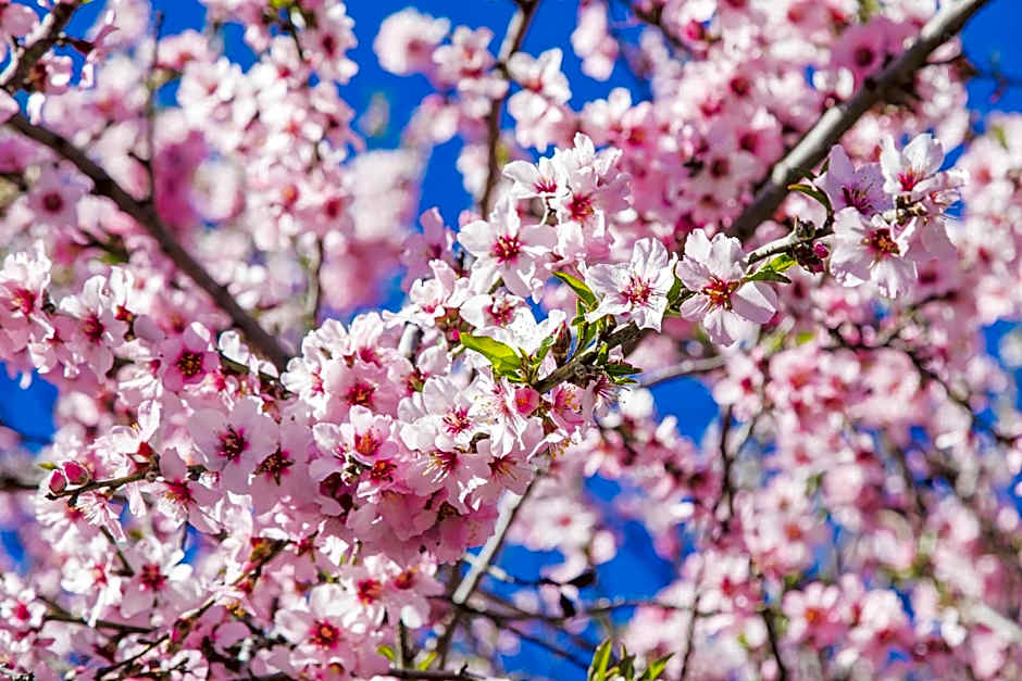 Hotel Rural El Refugio