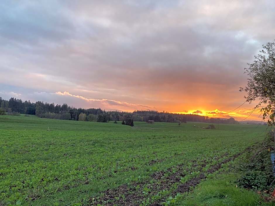 Hotel-Pension-Waldblick