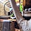 Roots Tree House