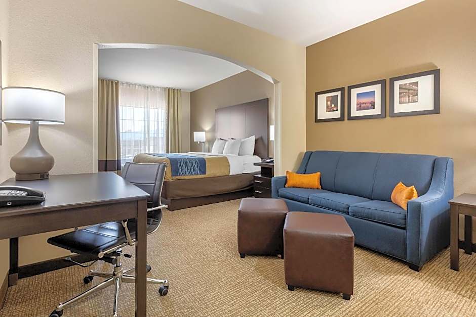 Photo 1 of 8 of 1 King Bed Suite
