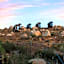 Encuentro Guadalupe