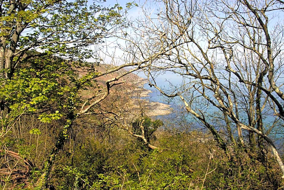 Cit'Hotel Hôtel Beauséjour