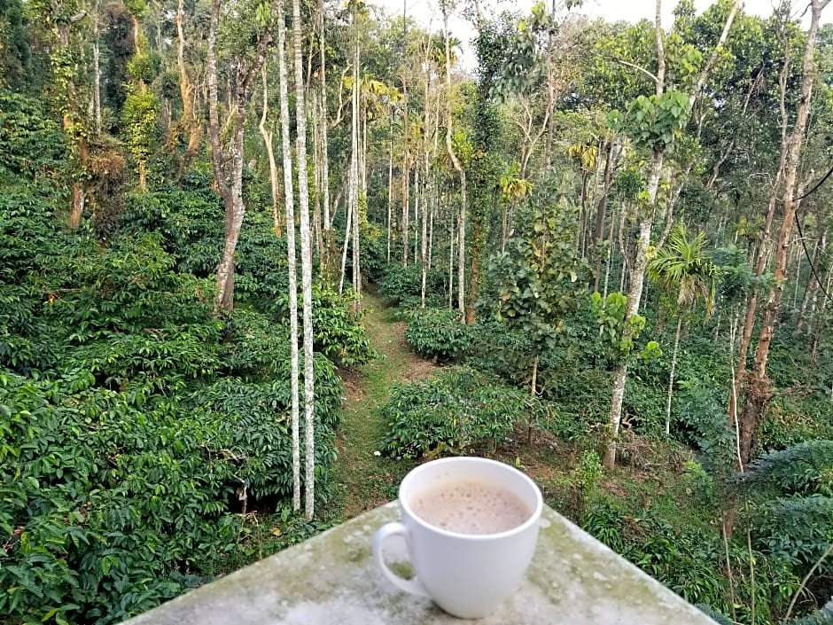 CG Ala The Coffee Grove – Vythiri, KS