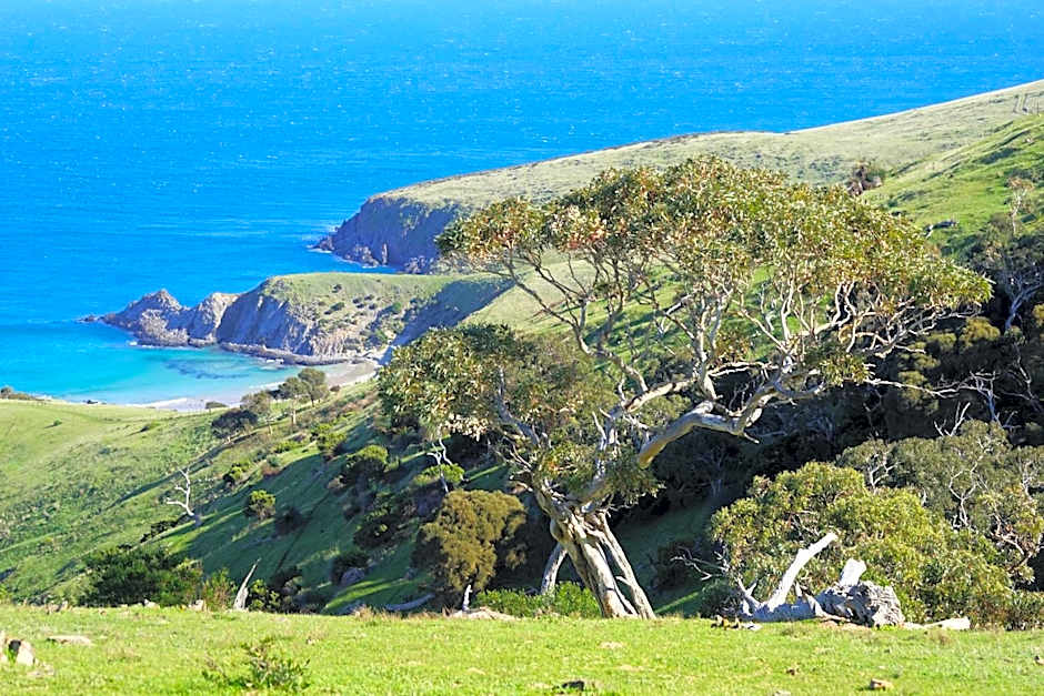 Southern Ocean Retreats - Deep Creek National Park