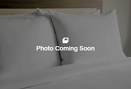 1 BEDROOM SUITE, KING, SOFA BED, CITY VIEW