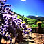 Masia Vista Hermosa