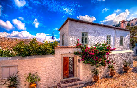 Cotommatae Hydra 1810