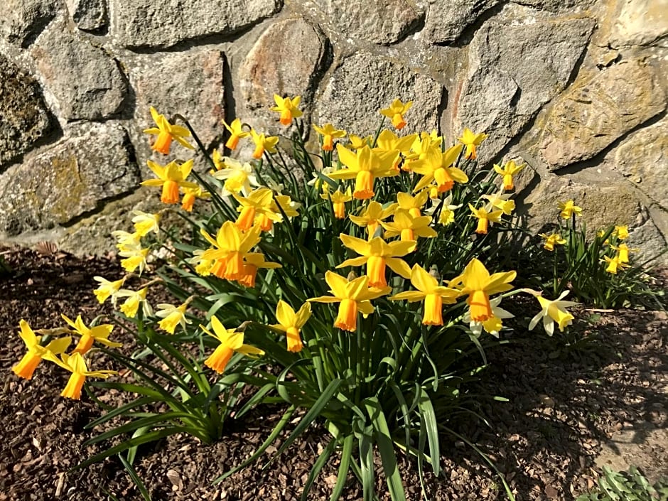 "Un matin au jardin"