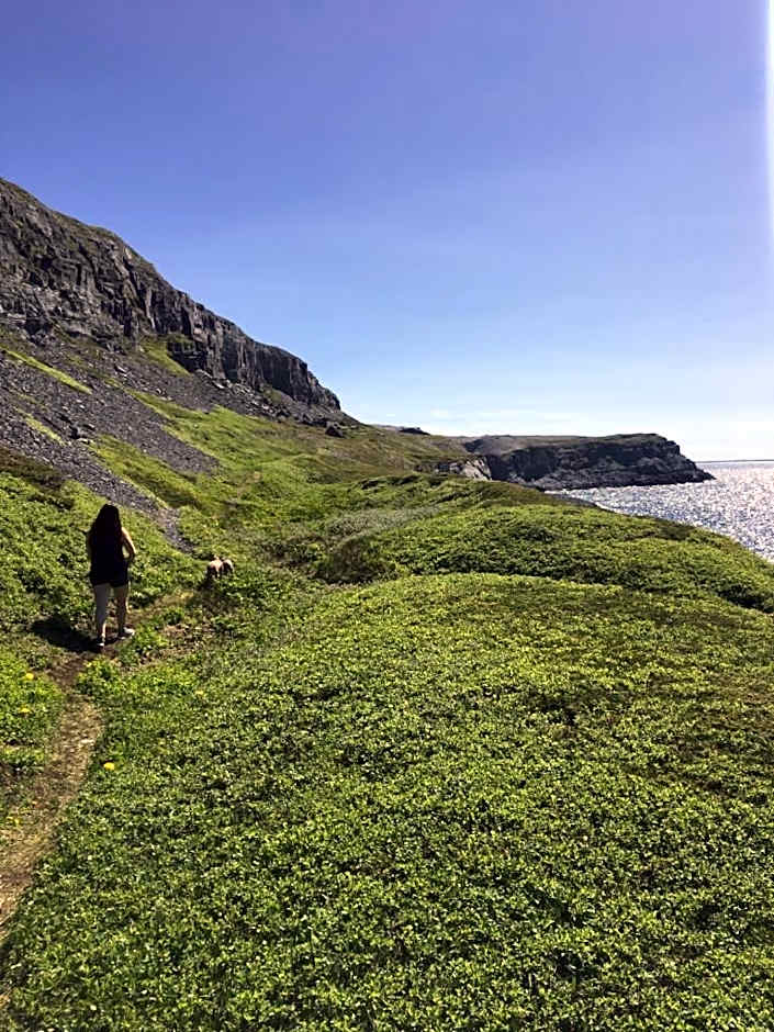 Raleigh Rooms & Taylor's Crafts