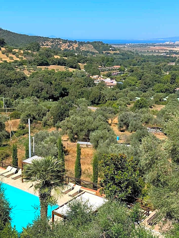 Madonna Del Poggio CAV