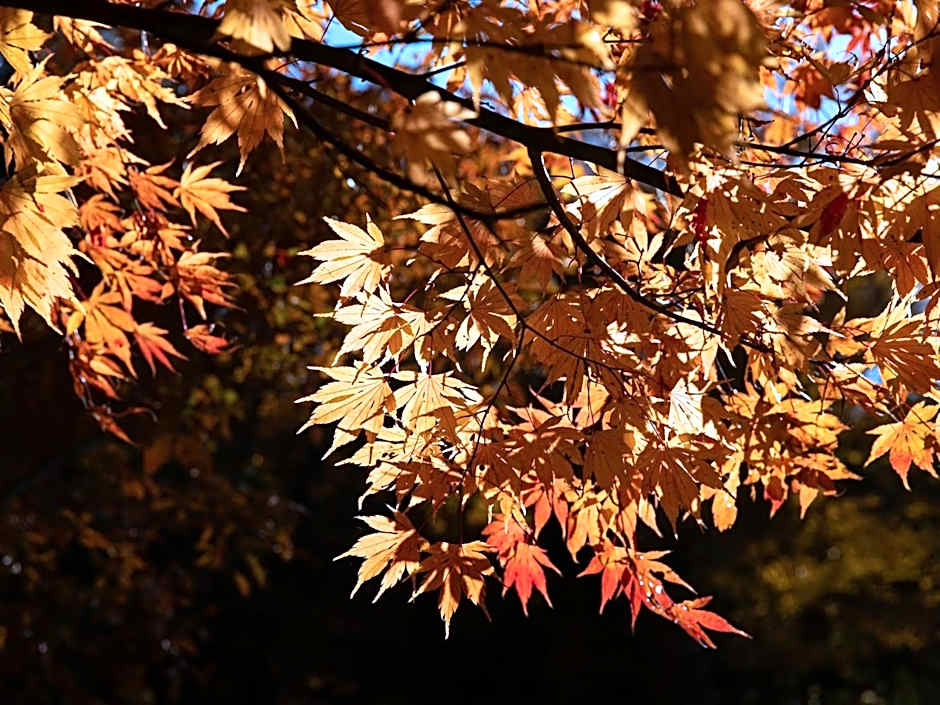 LA TERRA NAGANOーVacation STAY 96079v