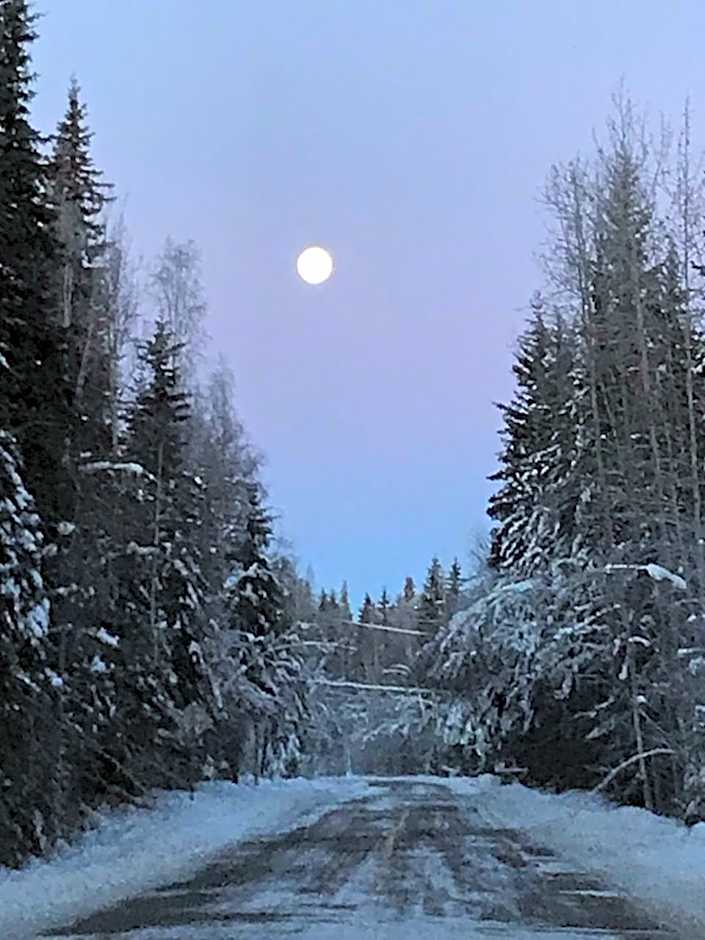 Billie's Backpackers Hostel