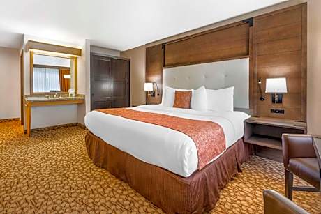 King Room with Walk-in Shower - Disability Access