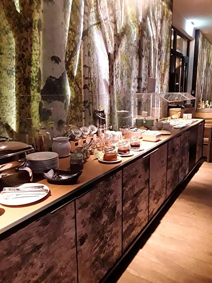 Panorama Hotel Aschberg